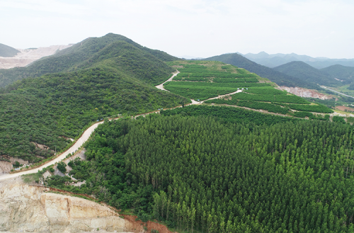 采矿	厂植被恢复区域